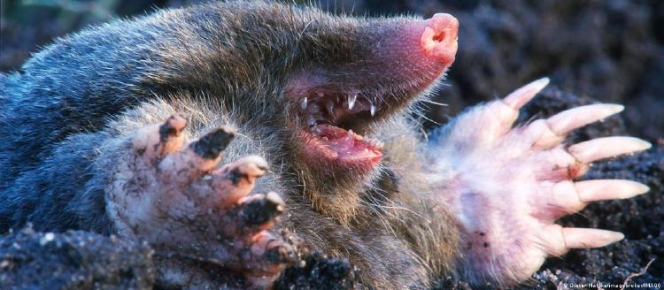 64199885_1004 64199885_1004