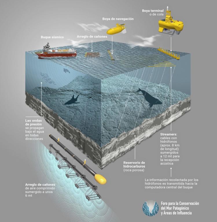 SISMICA 01 Foro 2022 Sondeos Acusticos scaled e1677881911229 1499x1536 SISMICA 01 Foro 2022 Sondeos Acusticos scaled e1677881911229 1499x1536