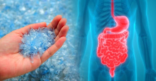 cantidad plastico ingieres por dia cantidad plastico ingieres por dia