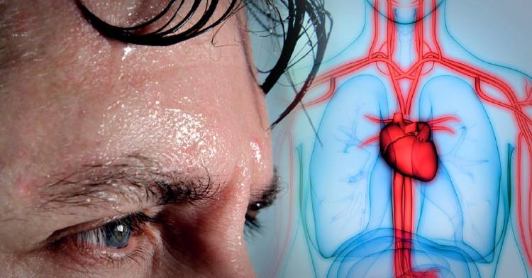 producto de tu mente miedo cuerpo producto de tu mente miedo cuerpo