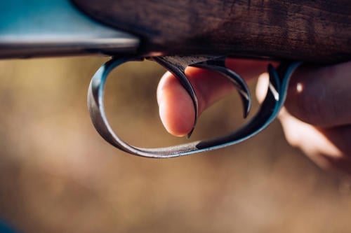cazador ciervo de los pantanos