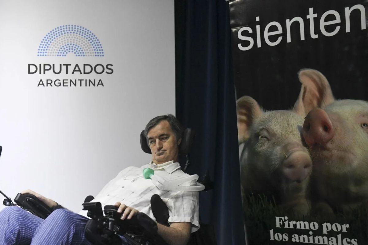 ¨Reconocer legalmente a los animales como seres sintientes no es un detalle técnico, es un paso moral¨, expresó Esteban Bullrich, quien brindado apoyo inmenso para que le proyecto sea ley. (Imagen: econews.global)