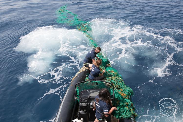 Sea Shepherd recoge red fantasma.