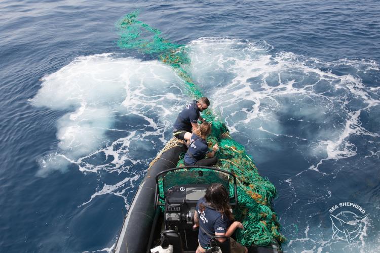 Sea Shepherd red fantasma Sea Shepherd recoge red fantasma.