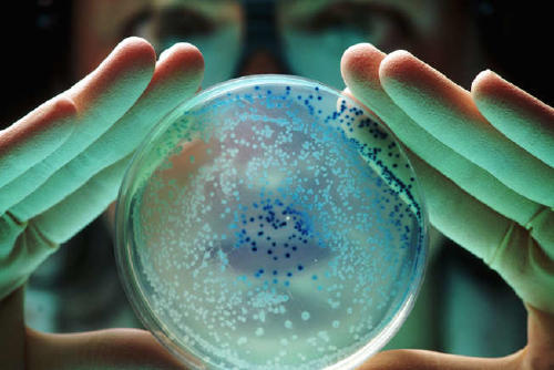 superbacterias Muertes evitables©The Daily Digest