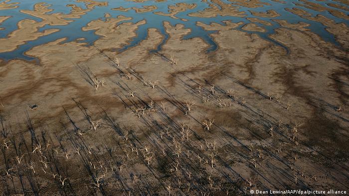 65567178_303 65567178_303