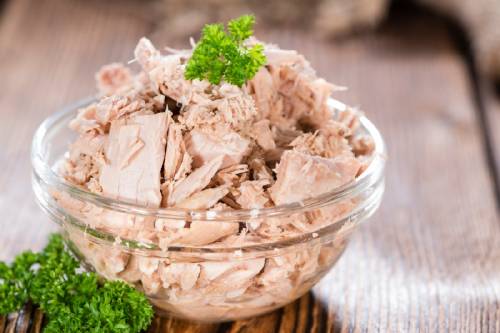 atún Recipiente con atún