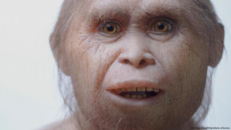 El descubrimiento de \"Homo floresiensis\" en 2004 fue, en palabras de Forth, \"equivalente al descubrimiento de un alienígena espacial\". En la foto, una reconstrucción \"H. floresiensis\".