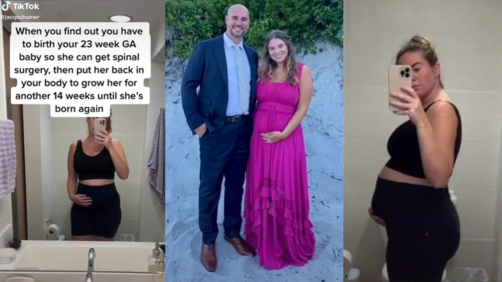 _portada bioguia (38) _portada bioguia (38)