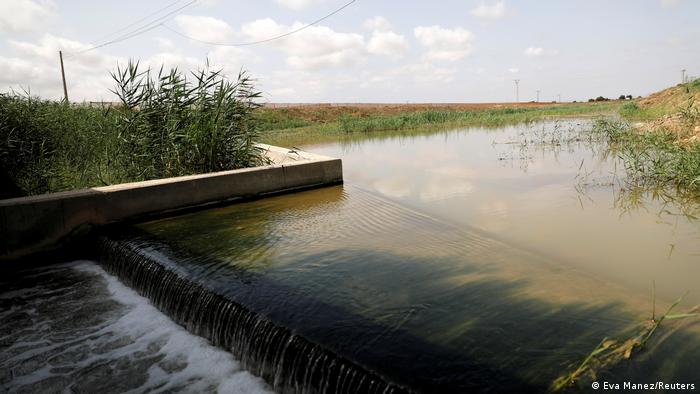 58970081_303 58970081_303