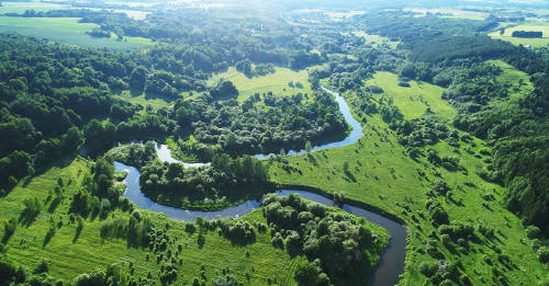 Irlanda plantará 440 millones de árboles para combatir el cambio climático