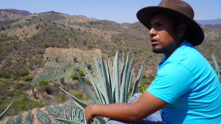 Foto 4 (1) Foto 4 (1)