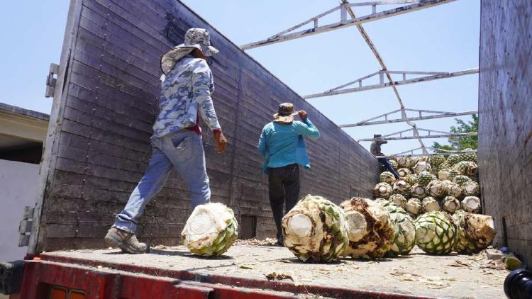 Foto 1 (1) Foto 1 (1)