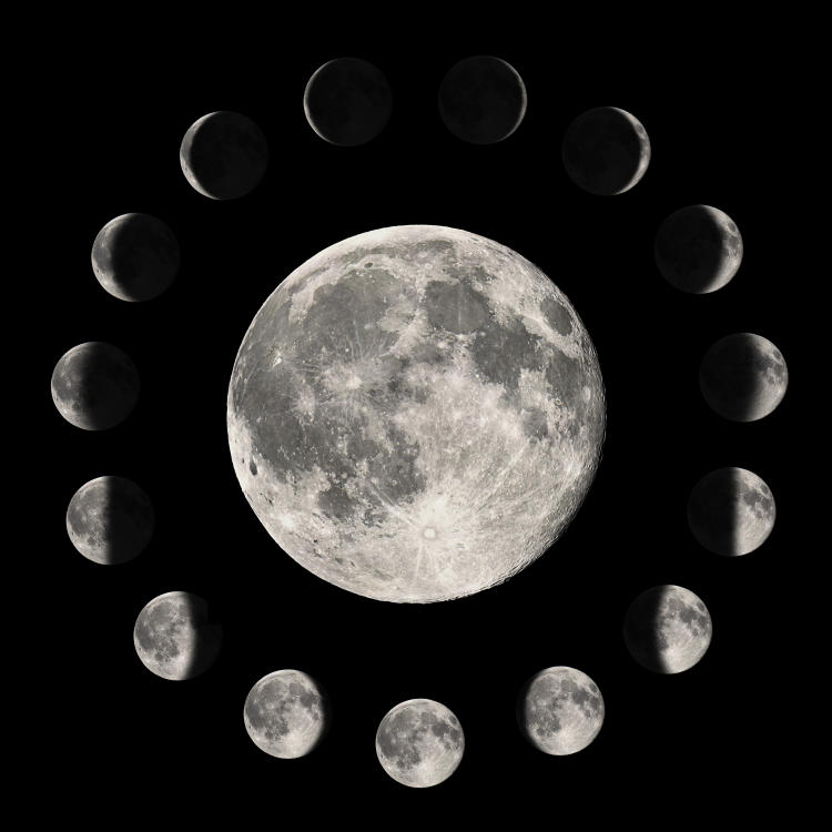 fases de la luna