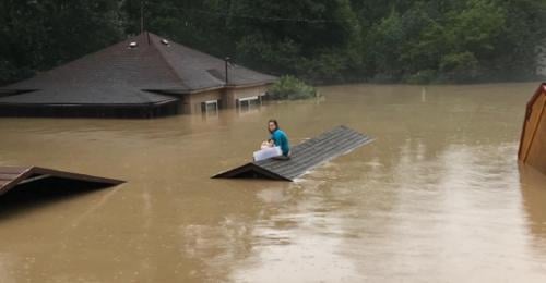 perrito inundacion perrito inundacion