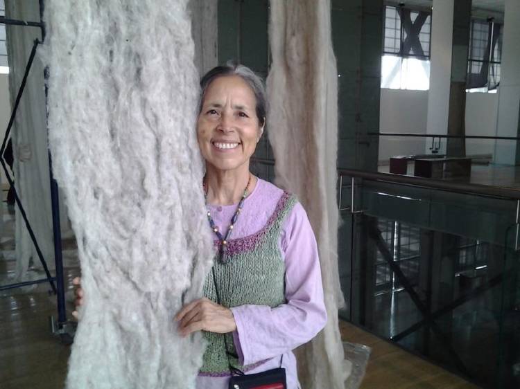 Cecilia vicuna (1) Cecilia vicuna (1)