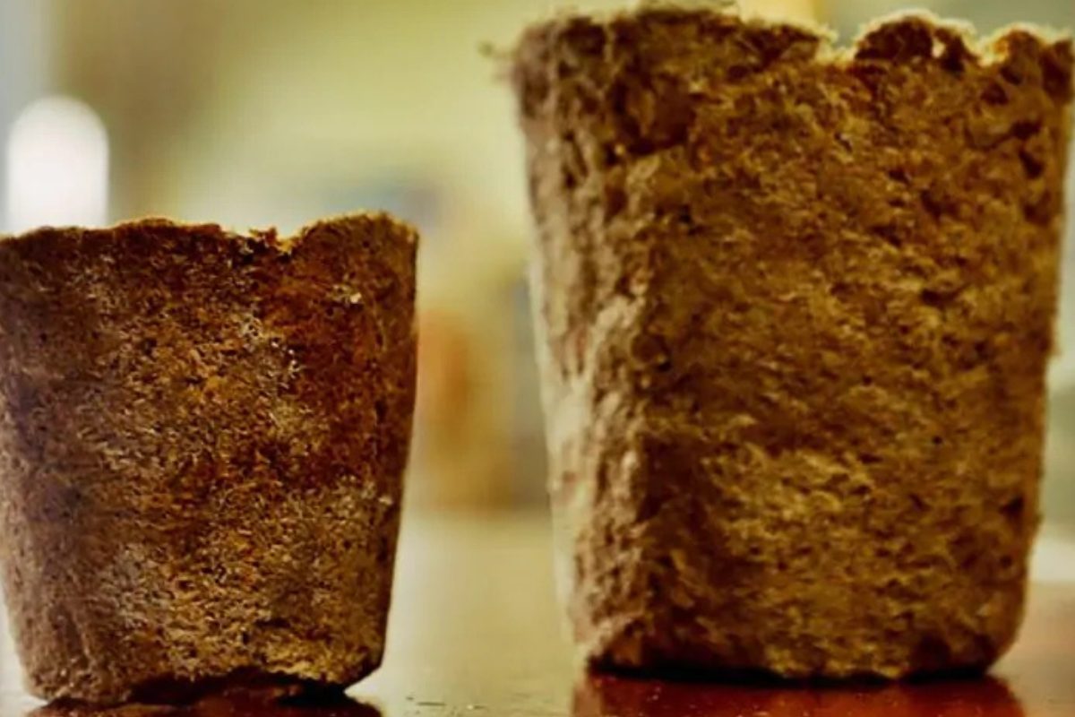 cascara papa Crean un bioplástico a partir de la cáscara de papa. (imagen: infoagro.com.ar)