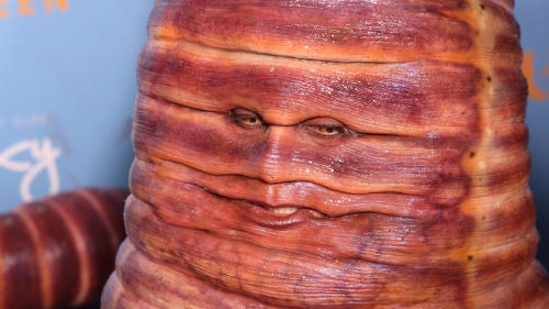 heidi klum heidi klum