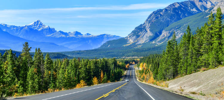 carretera en nueva zelanda