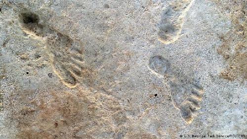 67018859_303 67018859_303