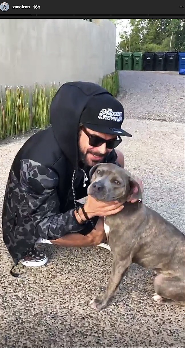 Su nombre era Tilly y estaba a cargo de una organización llamada Bark 'n' Bitches Su nombre era Tilly y estaba a cargo de una organización llamada Bark 'n' Bitches