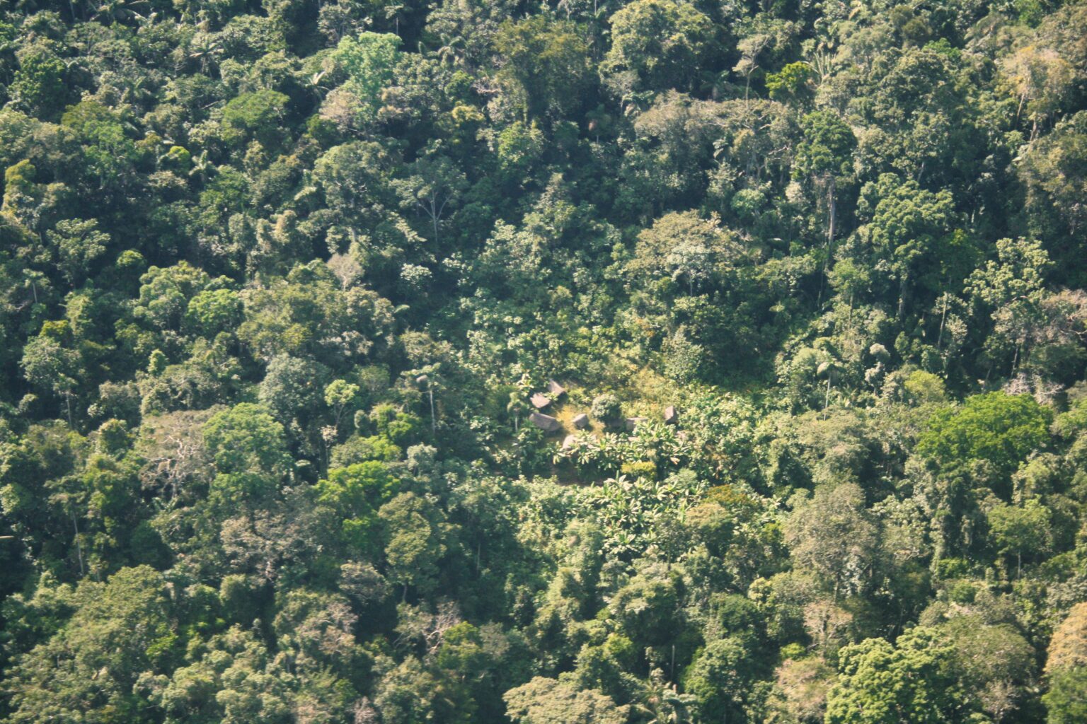 Reserva Indígena Sierra del Divisor