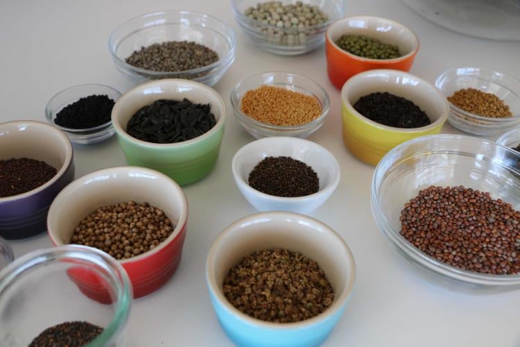 semillas semillas.jpg