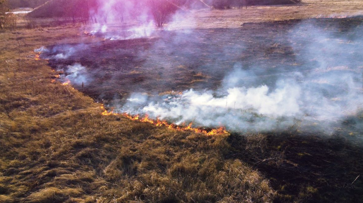 Incendios forestales