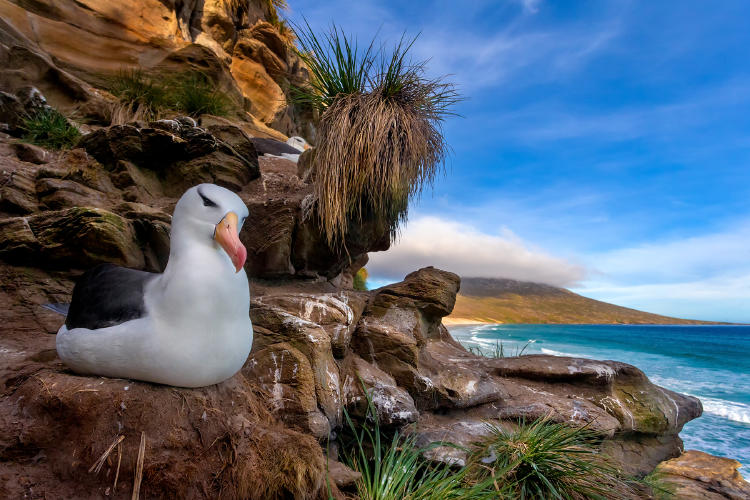 _LVL7540web _LVL7540web