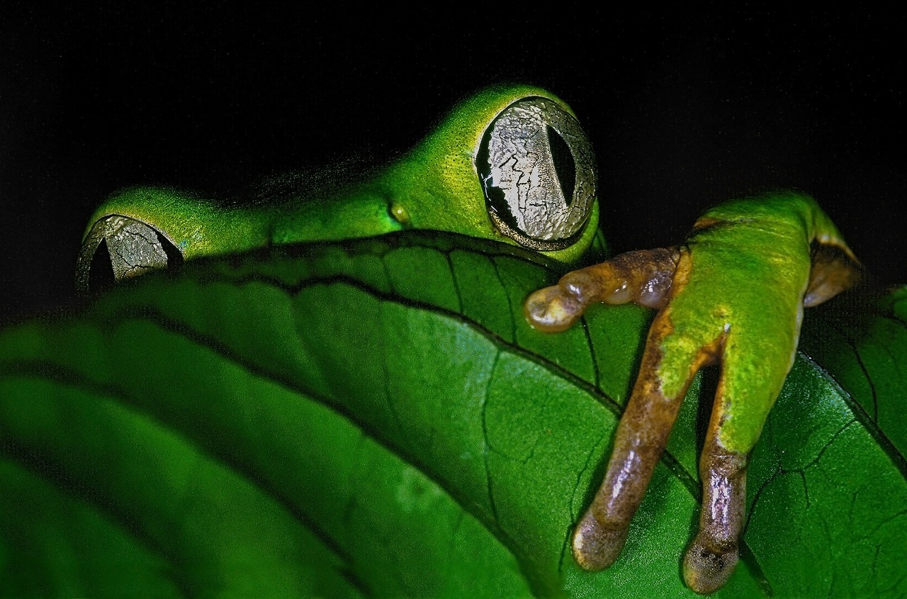 WhatsApp Image 2021 12 13 at 15.35.35 (2) WhatsApp Image 2021 12 13 at 15.35.35 (2)