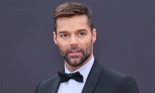ricky martin ricky martin