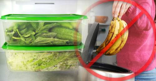 Cómo ordenar la nevera para no tener que tirar comida