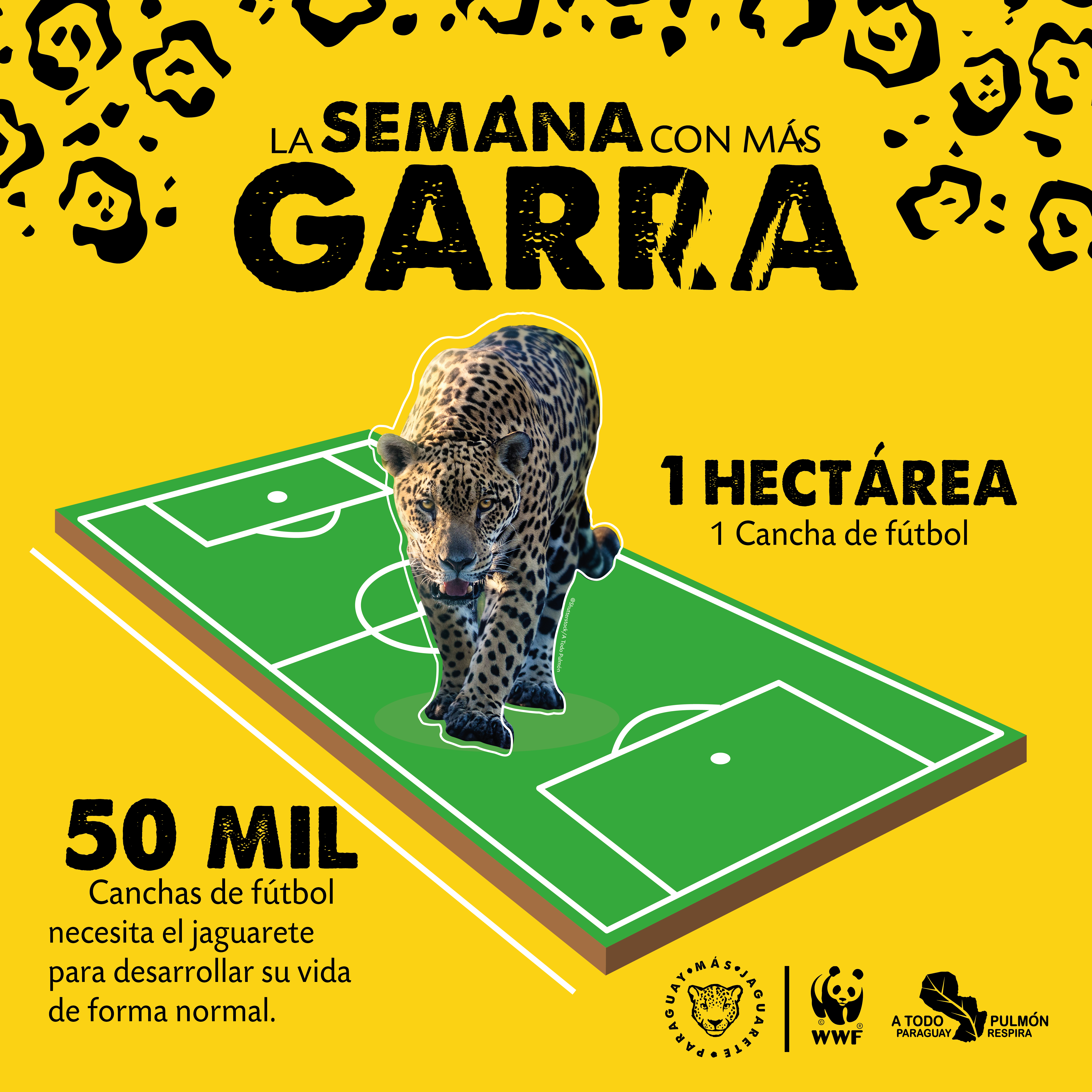 Viernes 26 Dato Curioso-01 Viernes 26 Dato Curioso-01