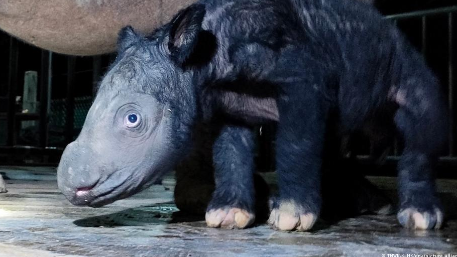 67560571_1004 67560571_1004