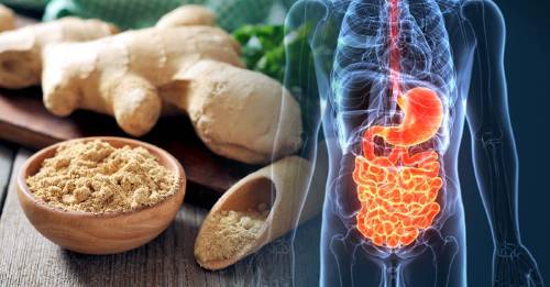 16 antibioticos naturales debes añadir a tu dieta 16 antibioticos naturales debes añadir a tu dieta