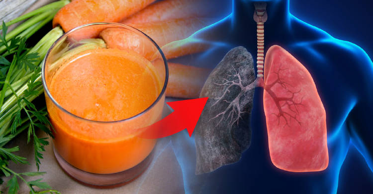 comidas-bebidas-desintoxicar-pulmones-despues-fumar comidas-bebidas-desintoxicar-pulmones-despues-fumar
