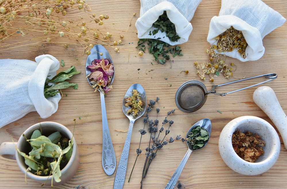 hierbas medicinales diferentes hierbas medicinales sobre la mesa