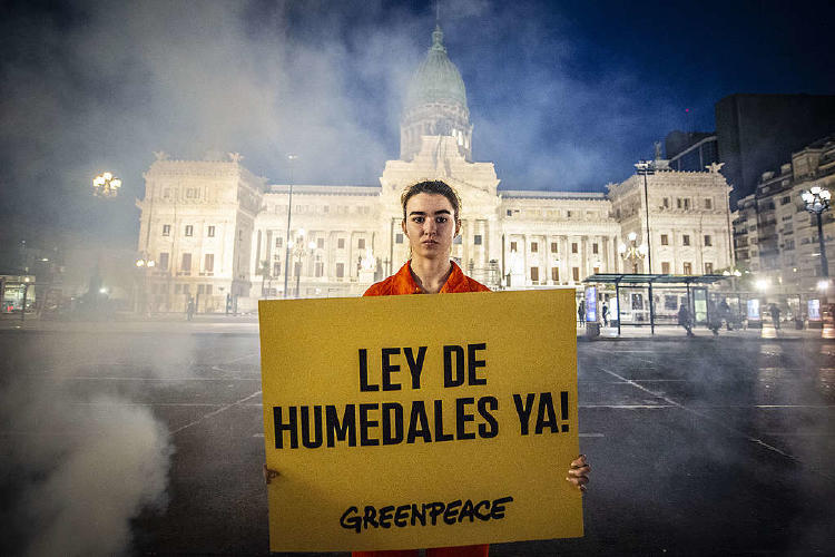 874fea00 gpa accion humedales ba martin katz greenpeace 1 1024x683 874fea00 gpa accion humedales ba martin katz greenpeace 1 1024x683