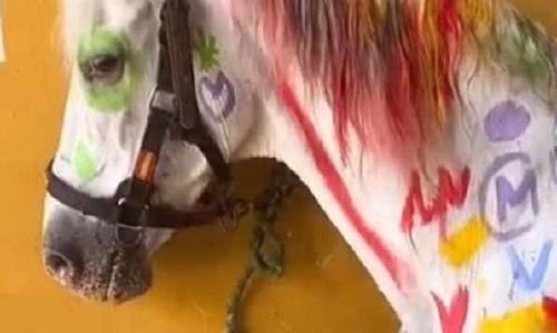 caballo pintando caballo pintando