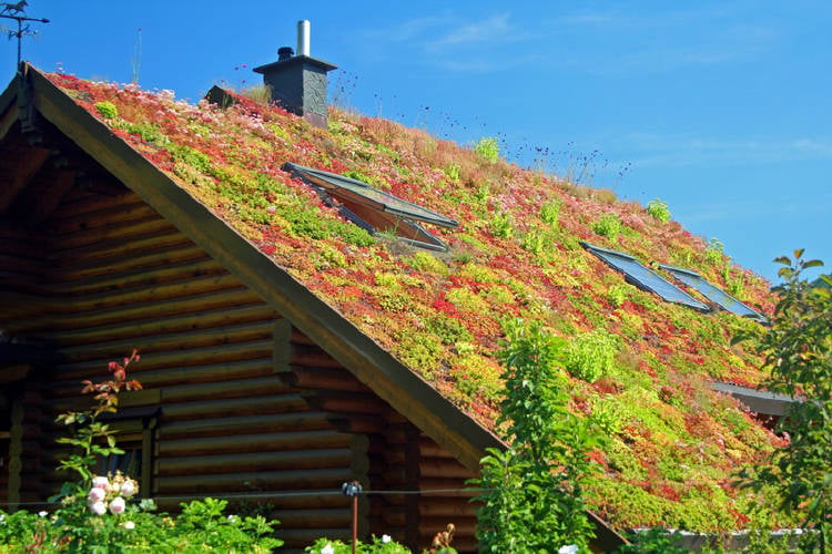 casa con techo verde