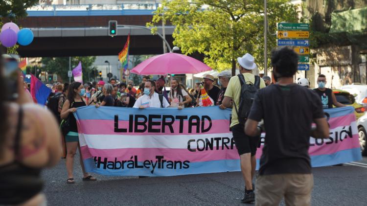 ley trans españa