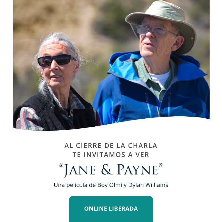 jane-payne jane-payne