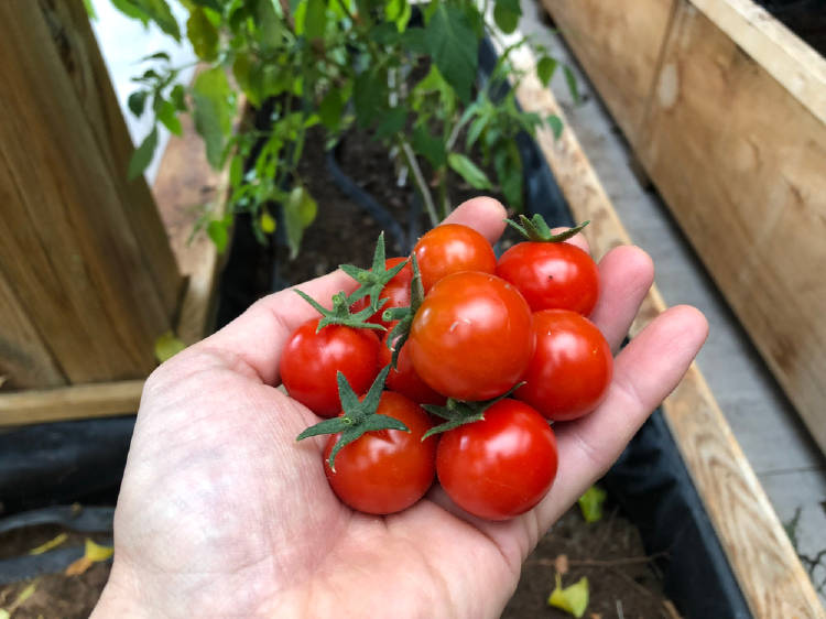 shutterstock_1460408969 shutterstock_1460408969