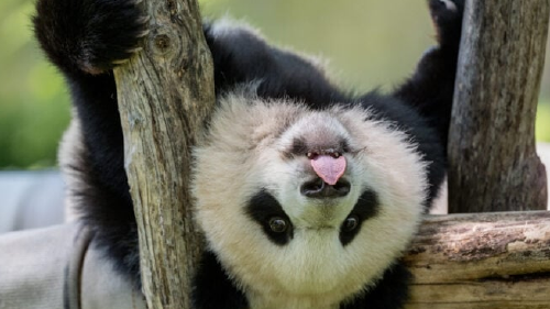 portada 750x375 portada 750x375