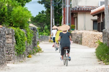 AdobeStock_416428174(2) AdobeStock_416428174(2)