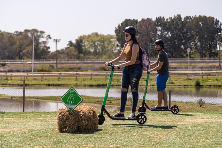 Actividades de Bioferia Actividades de Bioferia