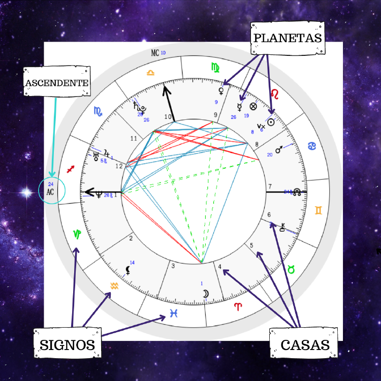 bioguia subir 19