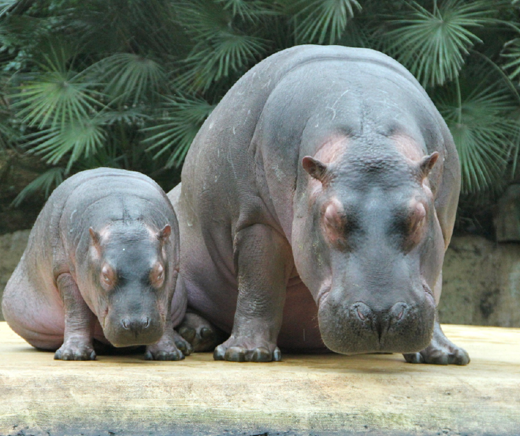 Diseño sin título (76) Diseño sin título (76)