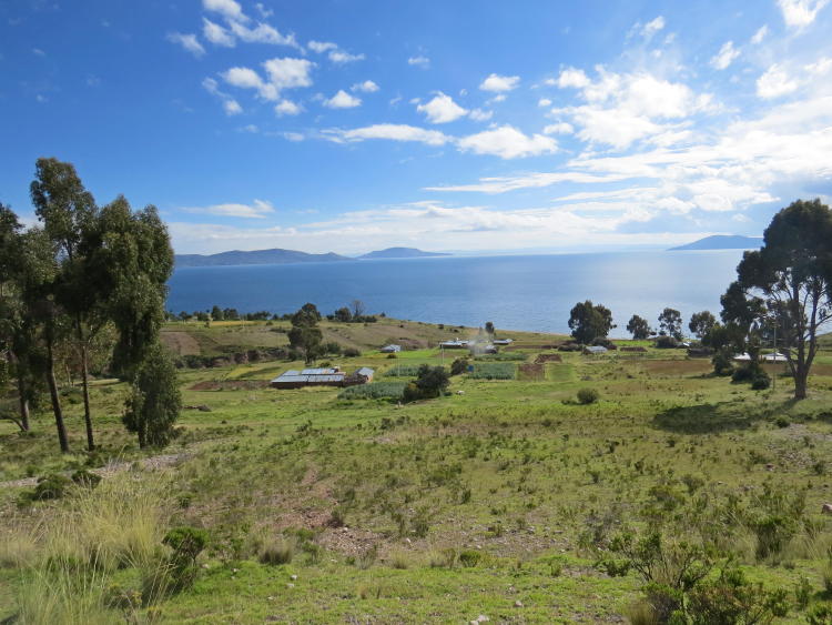 Parte de la Comunidad de Perka Norte a orillas del Lago Titicaca. Crédito: Natural Way