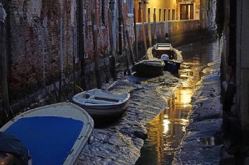 Venecia: luego de las terribles inundaciones, se encuentra sin agua |  Bioguia